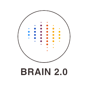 rREST - Brain 2.0